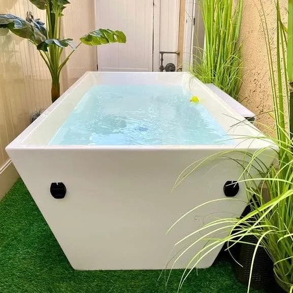 Cold Plunge